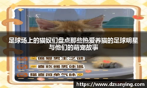 wedvictor伟德