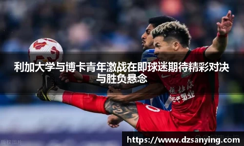 wedvictor伟德官方网站